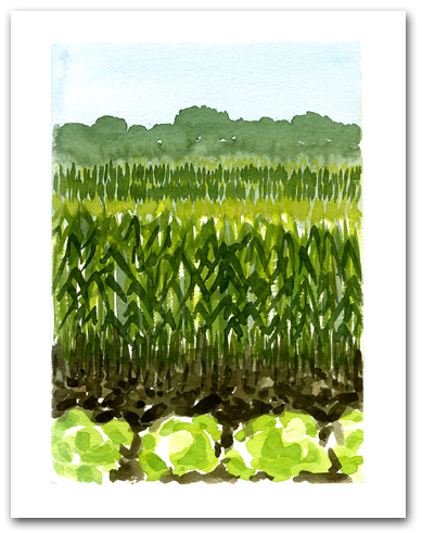 Field Planted Vegetables Crops Mountains Background Large Vertical Larger