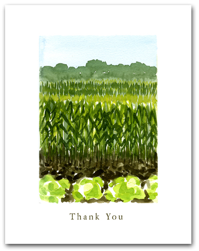 Field Planted Vegetables Crops Mountains Background Small Thank You Vertical Larger