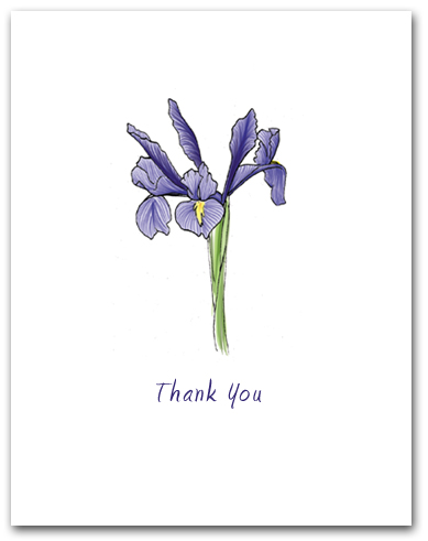 Single Blue Flag Iris Flower Thank You Larger