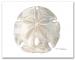 Sand Dollar Large Horizontal on Sea Shell Note Cards