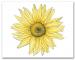 Single Large Yellow Sunflower on Flowers Illustrated Note Cards
