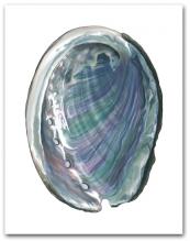 Abalone Interior Nacre Large Vertical