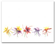 Five Multi-Colored Columbine Flowers Row