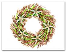 Large Seaweed and Sea Star Wreath Plain