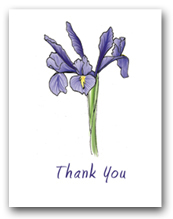 Single Blue Flag Iris Flower Thank You