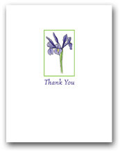 Small Blue Flag Iris Thank You