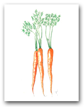 Three Carrot Bunch