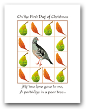 Twelve Days of Christmas First Day