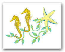 Two Sea Horses Seaweed Sea Star