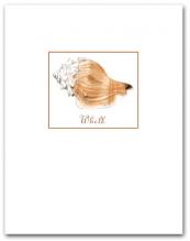 Whelk White Tan Small with Name Vertical